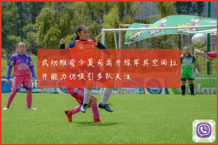 武切维奇今夏或离开绿军其空间拉开能力仍吸引多队关注