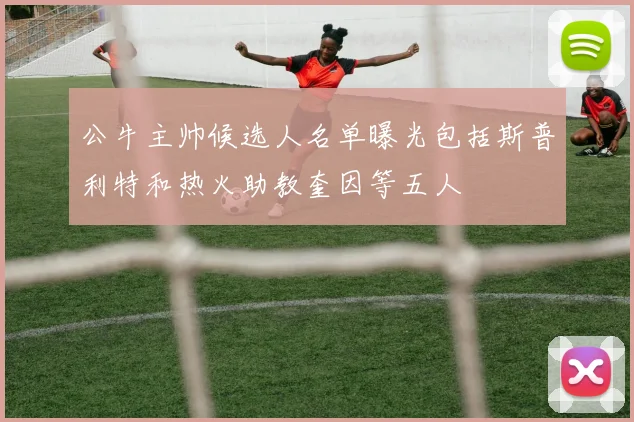 公牛主帅候选人名单曝光包括斯普利特和热火助教奎因等五人
