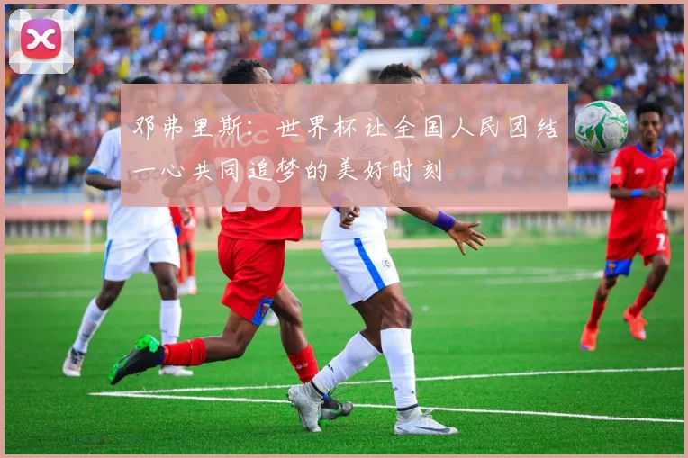 邓弗里斯：世界杯让全国人民团结一心共同追梦的美好时刻