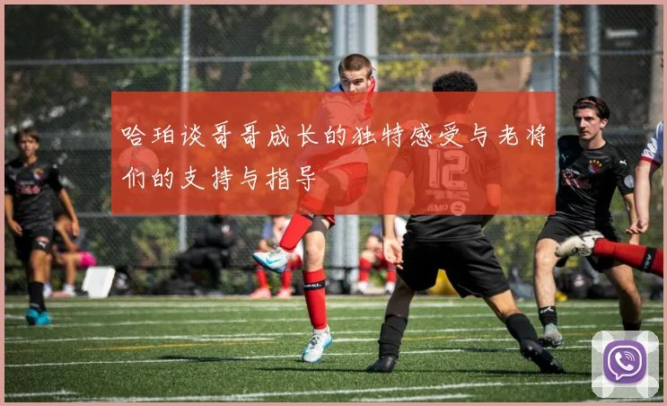哈珀谈哥哥成长的独特感受与老将们的支持与指导